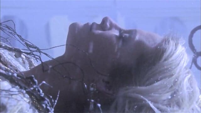 The Craving USA (2007)
