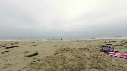 2160p 33134645
