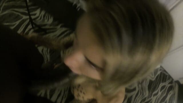 Cassie's Late Night with Tribal