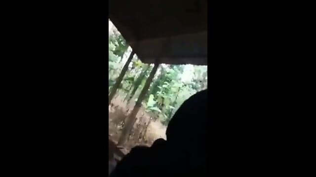 paksa adik nelen peju full https://linktr.ee/bookingpsk