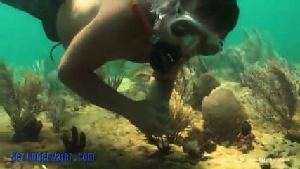 Scuba Sex In Ocean